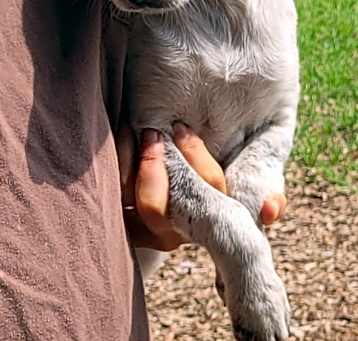 Photo of Junie