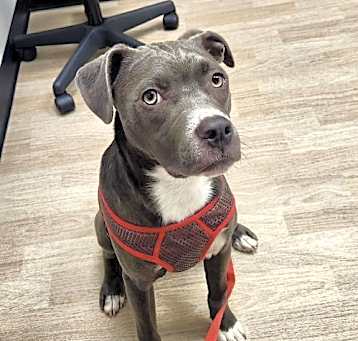 Photo of Maggie