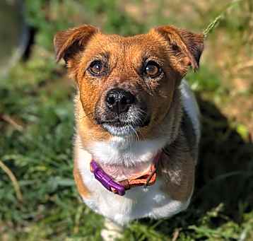 Photo of Greta