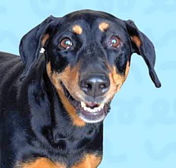 Photo of Skittles