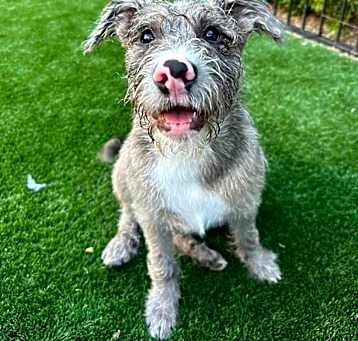 Photo of Rudy