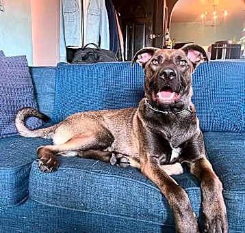 Photo of Bram