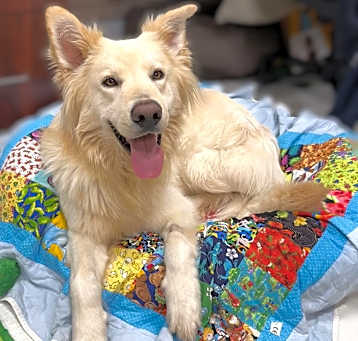 Photo of Ghost
