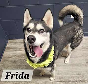 Photo of Frida