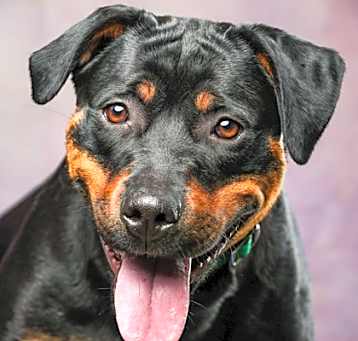 Photo of Chyna