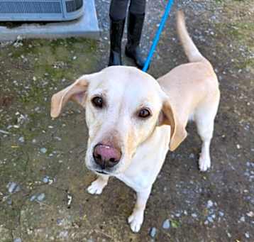 Photo of Sugar