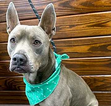 Photo of Quincy