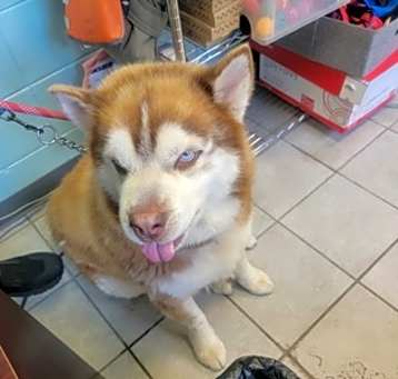 Photo of Buzz