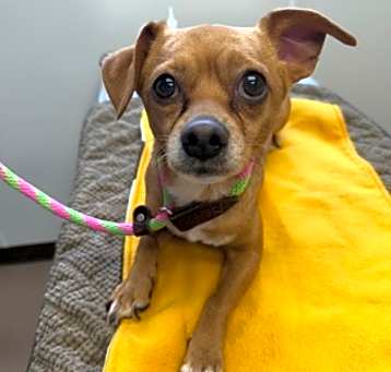 Photo of Spike
