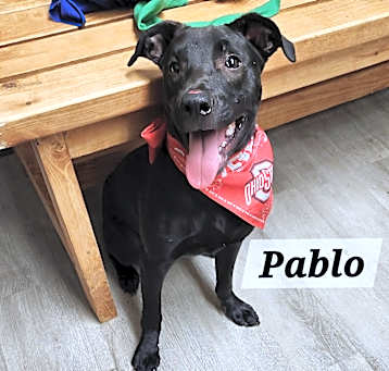 Photo of Pablo
