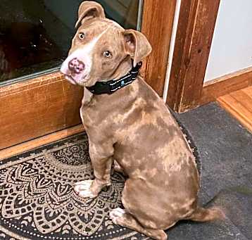 Photo of Bubba