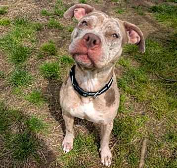Photo of Roxy