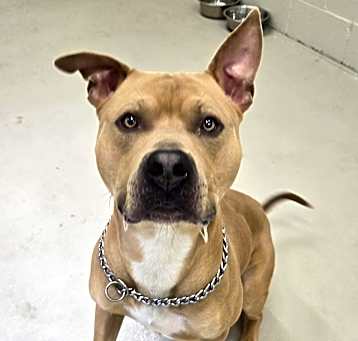 Photo of Reggie
