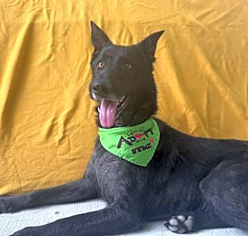 Photo of Zeus
