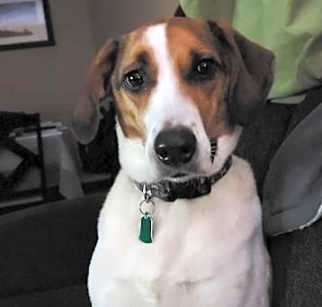Photo of Alvin