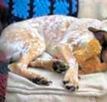 Photo of Zellie