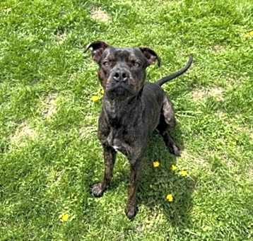 Photo of Drako