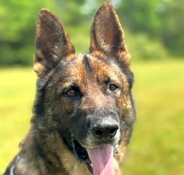 Photo of Jack