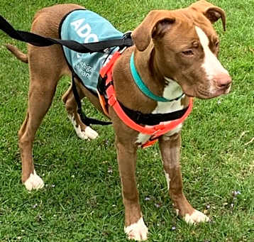 Photo of Spike