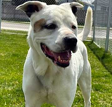 Photo of Rosie