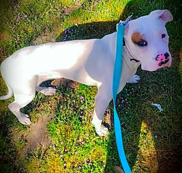 Photo of Roxy