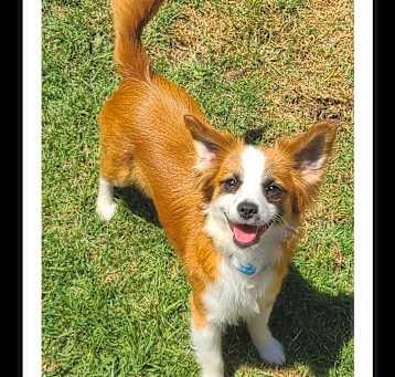 Photo of CANDY
