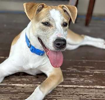 Photo of Luna