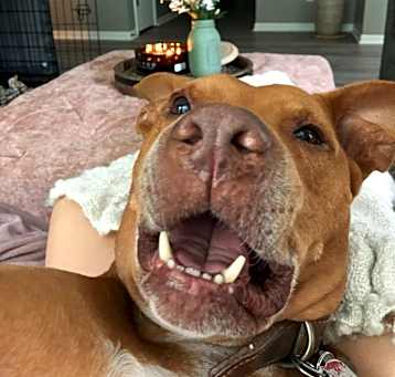 Photo of Rudy
