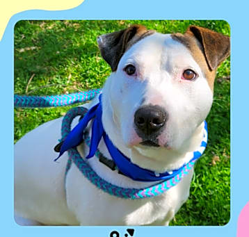 Photo of Bentley