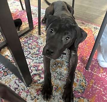 Photo of Murphy