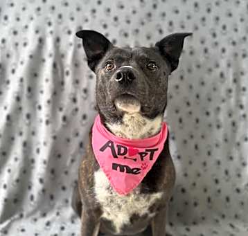 Photo of Lola