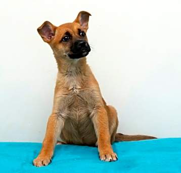 Photo of Evelyn
