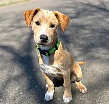 Photo of Cammi (Amy)