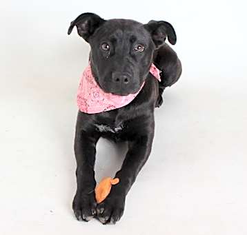 Photo of Xena