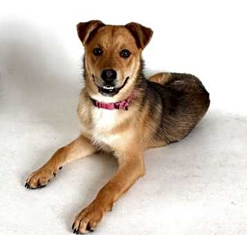 Photo of Rudy