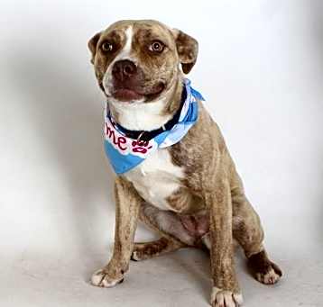 Photo of Sugar