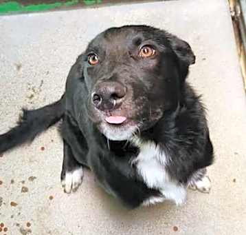 Photo of Mack