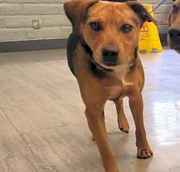 Photo of Dharma