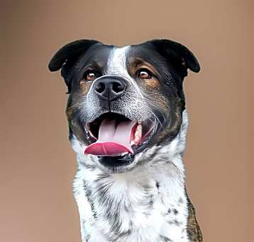 Photo of SPOT