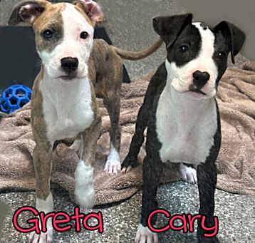 Photo of Greta