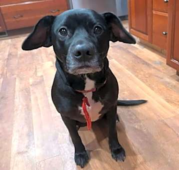 Photo of Pearla