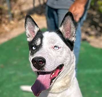 Photo of PATCH
