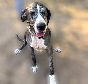 Photo of Benny