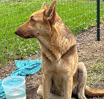 Photo of Sasha