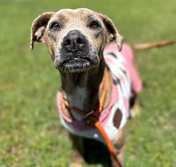 Photo of Adabelle