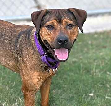 Photo of Penelope