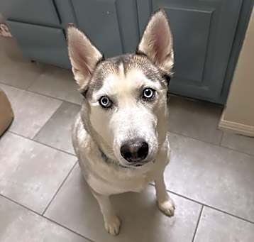 Photo of Nyla