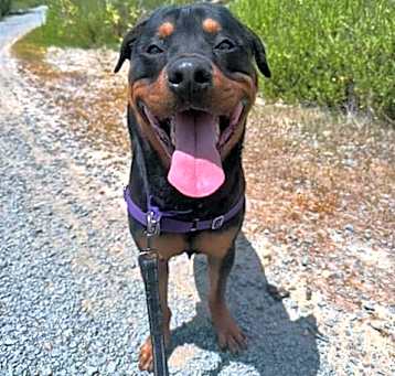Photo of BILLY JACK