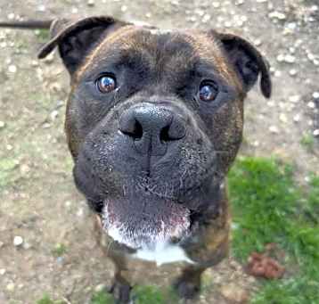 Photo of CURIOUS GEORGE