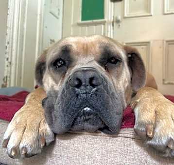 Photo of Jake